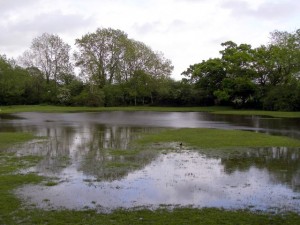 lawn care after floods