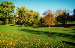 Tips for Fall Lawn Care