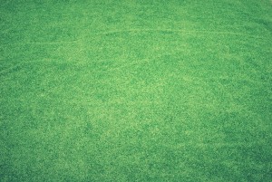 Frequently Asked Questions about Aerating, Dethatcing and Overseeding