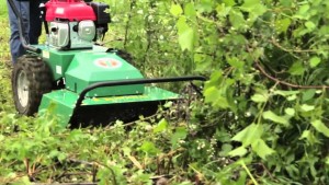 Tips for Using an Outback Brushcutter